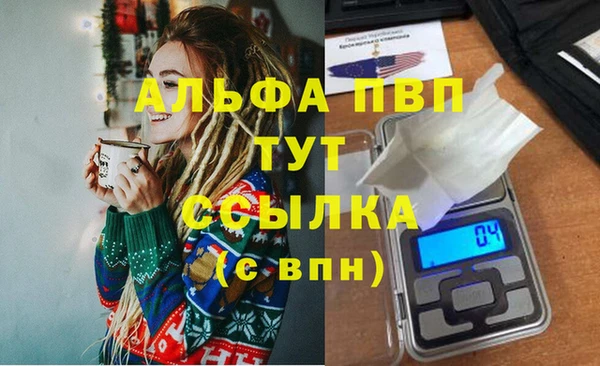 spice Абаза