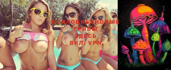 apvp Абинск