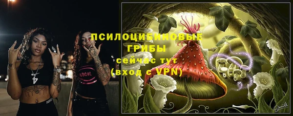 apvp Абинск